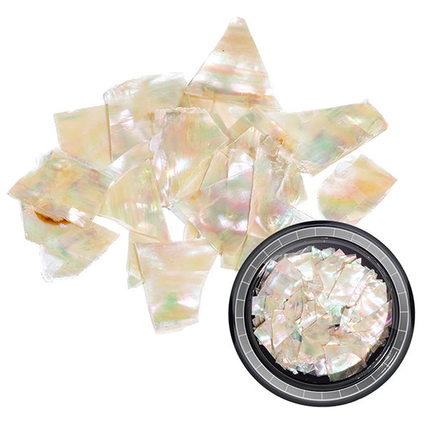 Small Abalone Sea Shell Beads Iridescent Rainbow Set of 6 – Mountain Spirit  Store