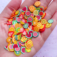 Polymer Clay FRUIT Slices Wheel / Fimo VEGETABLE Slices Mix (120