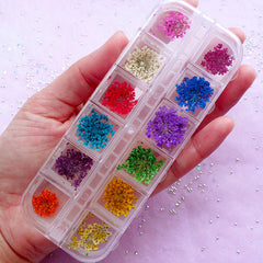 Dried Small Flowers for Resin Tinest Dried Flowers for Resin Jewelry Resin  Supply Mini Garden Different Flower Mix for Resin Blue Purple Red 