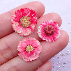  850 PCS Small Dried Daisy Flowers for Resin - Mini Dried  Flowers for Nails Art Decor, Natural Real Tiny Dried Pressed Flowers for  Crafts Resin Jewelry Molds Soap Making
