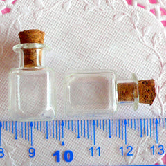 Tiny Glass Jar | Mini Glass Bottle with Cork | Small Glass Vial | Terrarium  Making (Round Flat / 19mm x 26mm / 2 pcs)